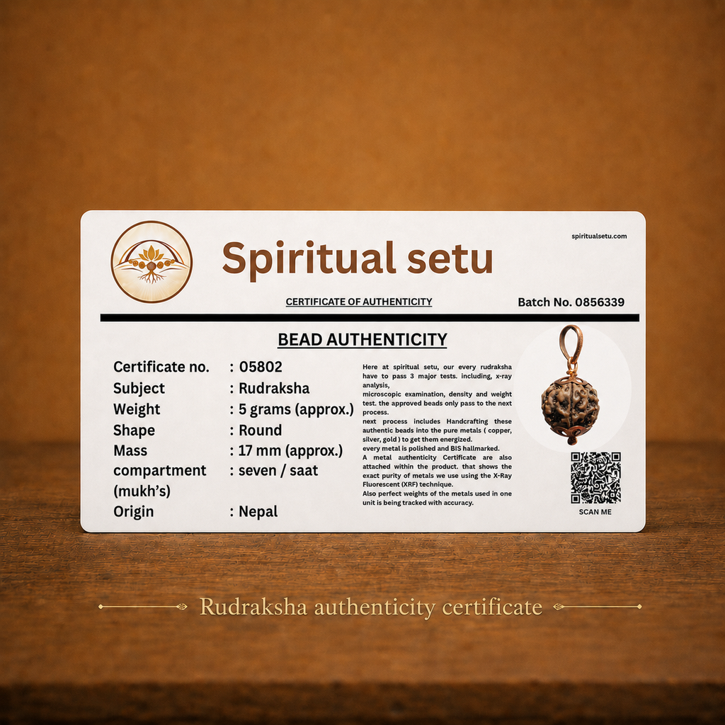 7-mukhi rudraksha Copper pendant | natural nepali certified rudraksha pure copper pendant