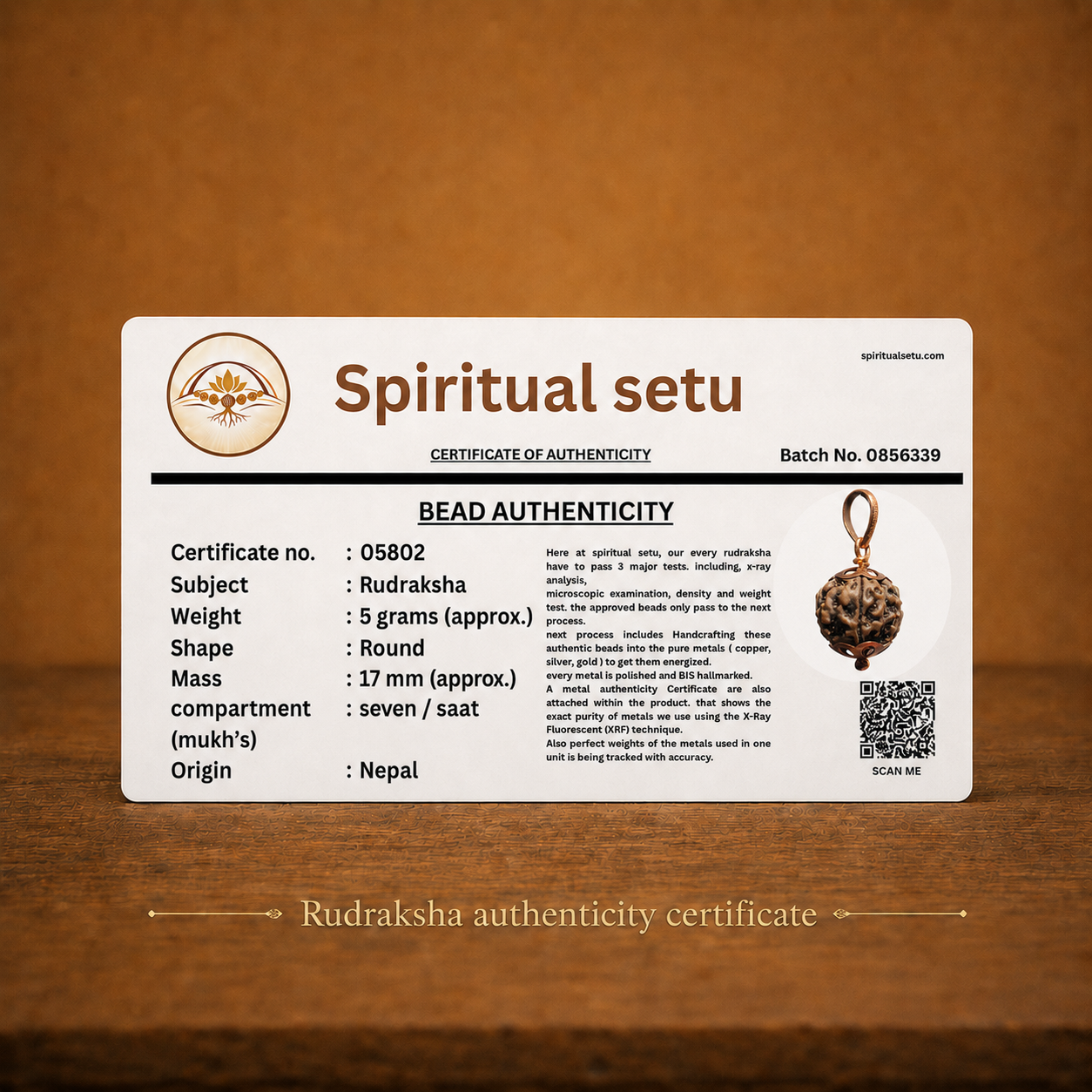 7-mukhi rudraksha Copper pendant | natural nepali certified rudraksha pure copper pendant