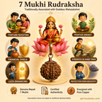 7-mukhi rudraksha Copper pendant | natural nepali certified rudraksha pure copper pendant