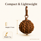 7-mukhi rudraksha Copper pendant | natural nepali certified rudraksha pure copper pendant