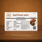 5-mukhi rudraksha Copper pendant | natural nepali certified rudraksha pure copper pendant