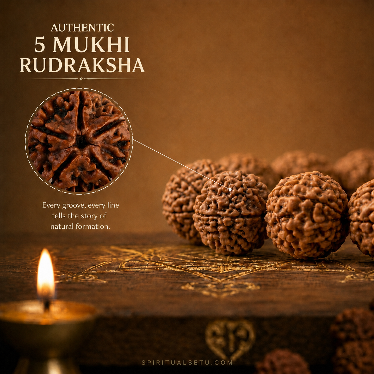 5 Mukhi Rudraksha Bracelet – Original Nepali Panchmukhi Rudraksha Band for Protection, Calm & Good Health